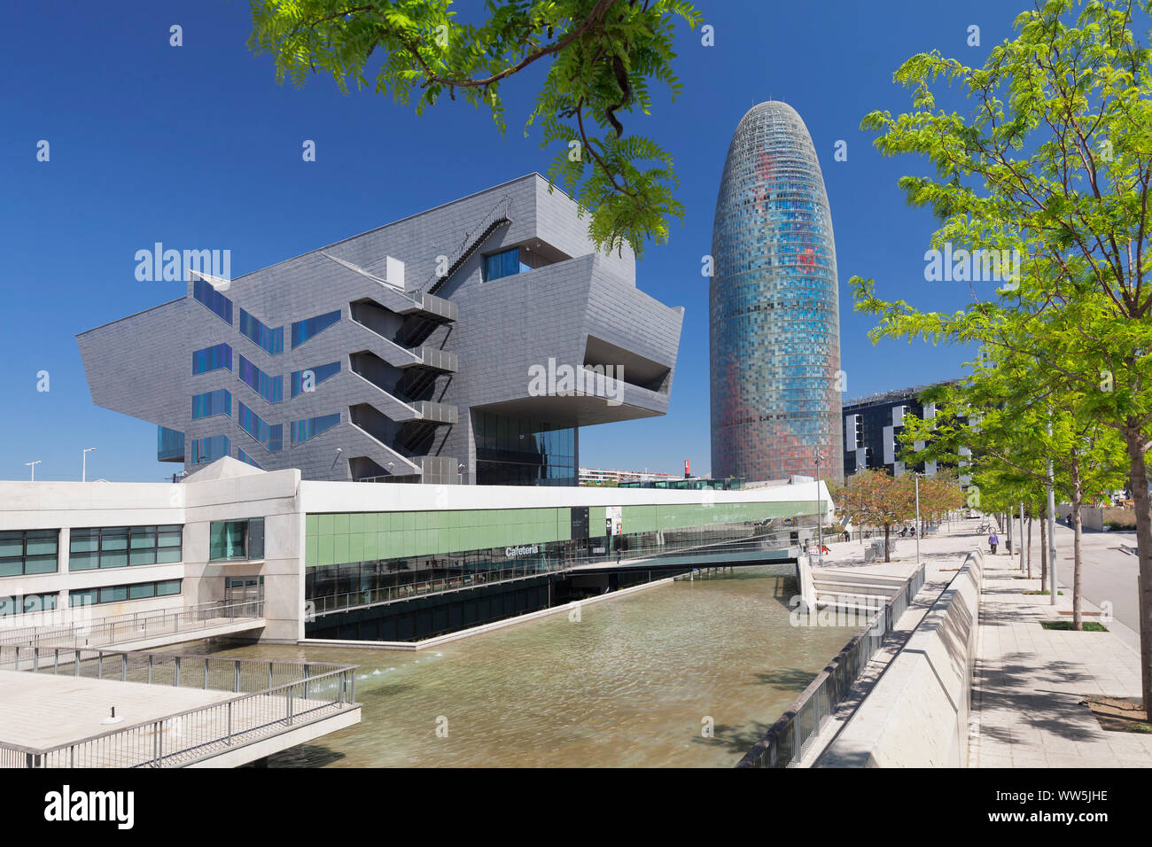 Torre Agbar, architect Jean Nouvel, Placa de les Glories Catalanes, Barcelona, Catalonia, Spain Stock Photo