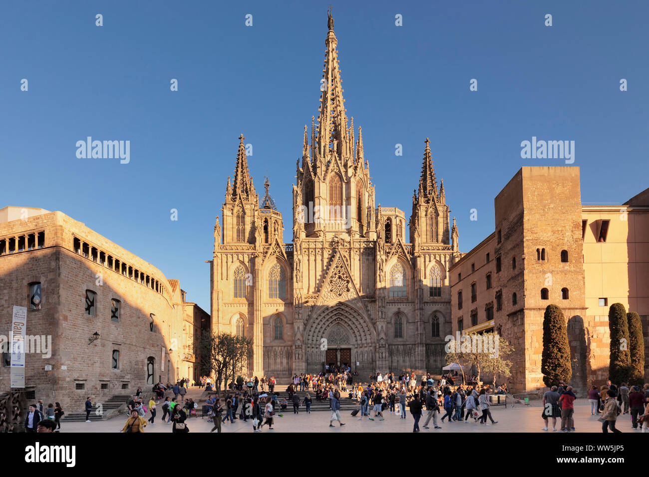 Gothic cathedral, La Catedral de la Santa Creu i Santa Eulalia, Barri Gotic, Barcelona, Catalonia, Spain Stock Photo