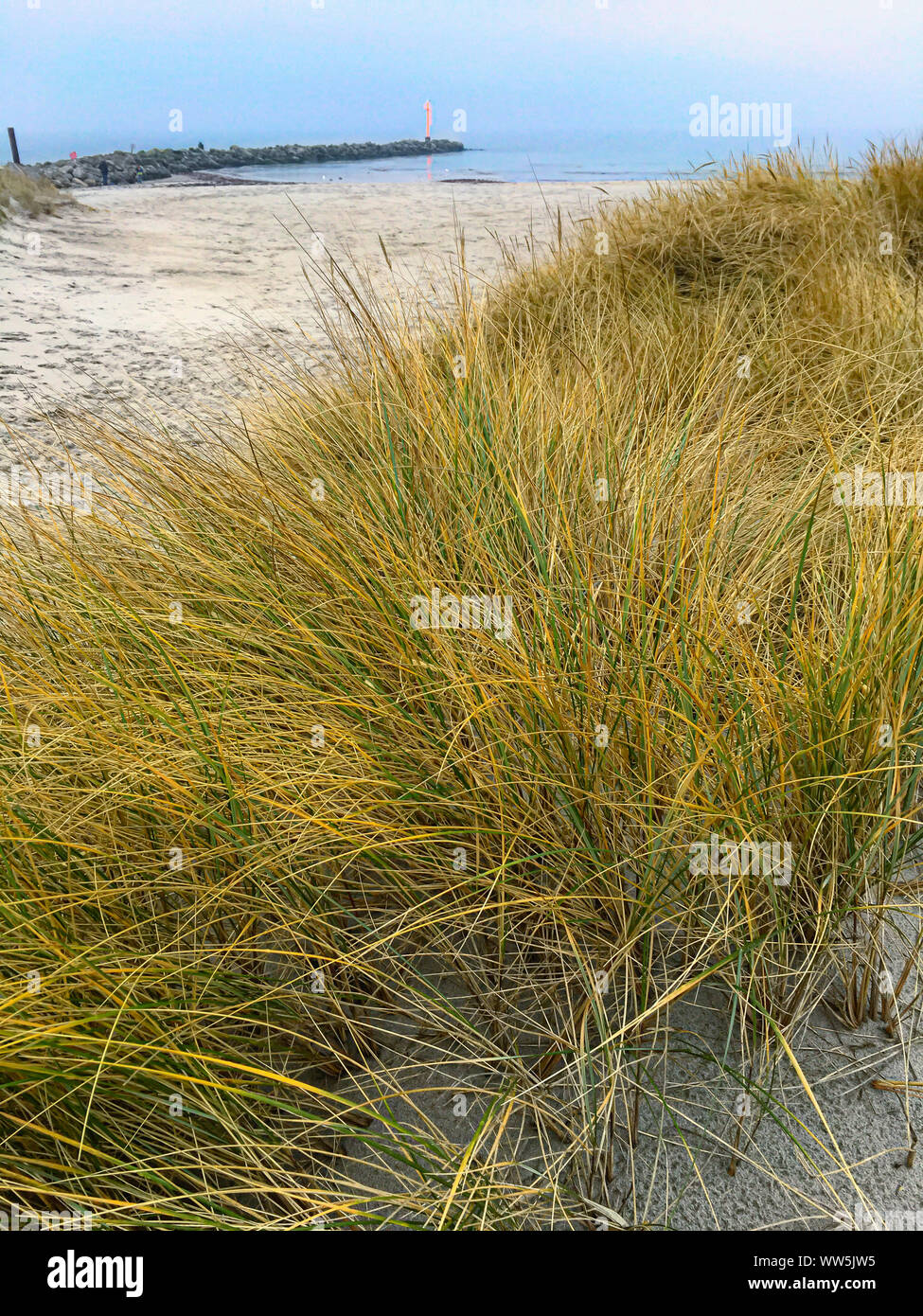 Dune landscape at the Baltic sea spa, Damp, Schleswig-Holstein, Germany Stock Photo