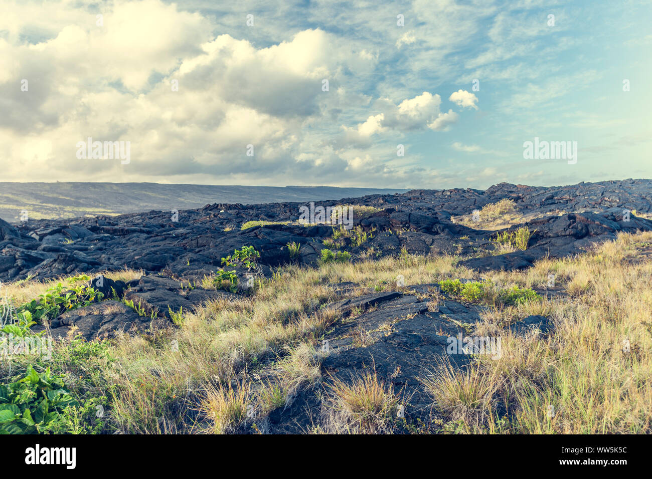 Lava fields, Volcanoes National Park, Big Island, Hawaii, USA Stock Photo