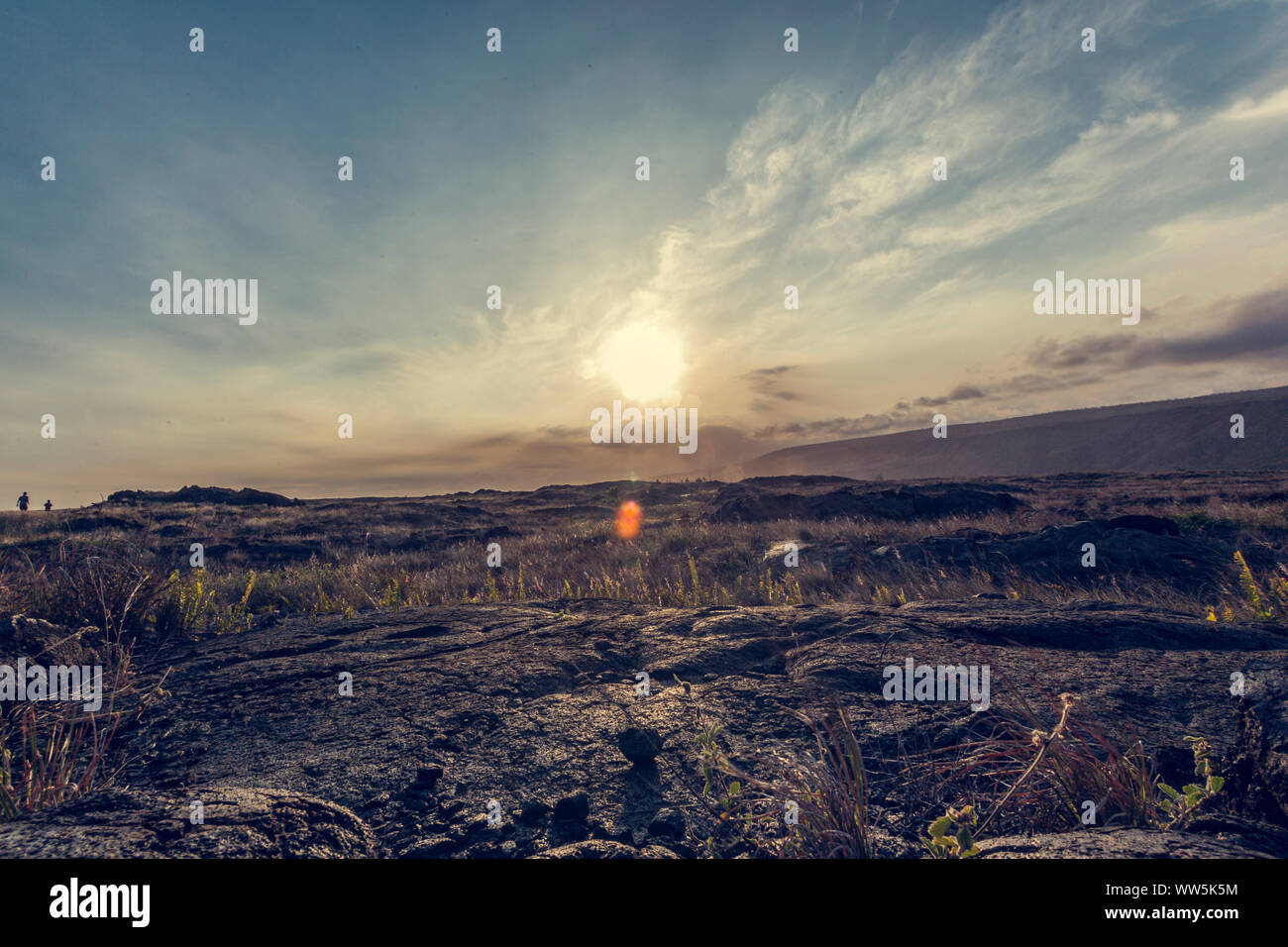 Lava fields, Volcanoes National Park, Big Island, Hawaii, USA Stock Photo