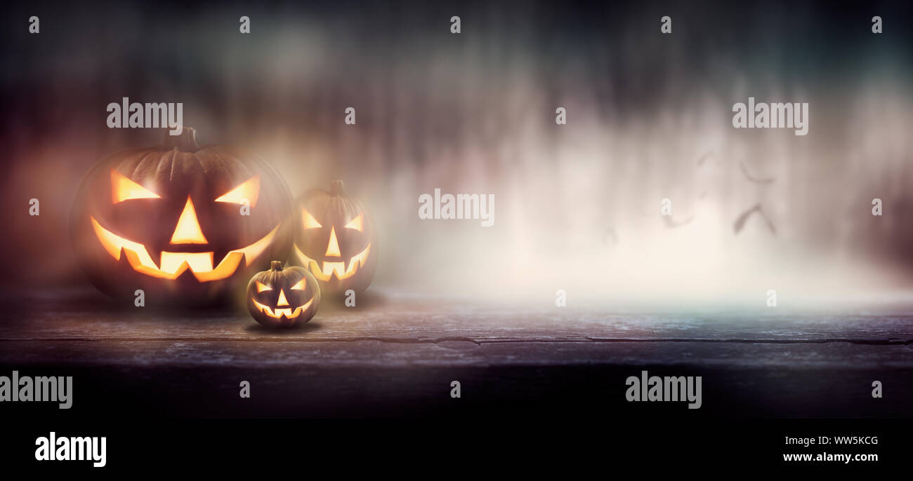 The evil glowing eyes of Jack O' Lanterns through mist and fog in a ...