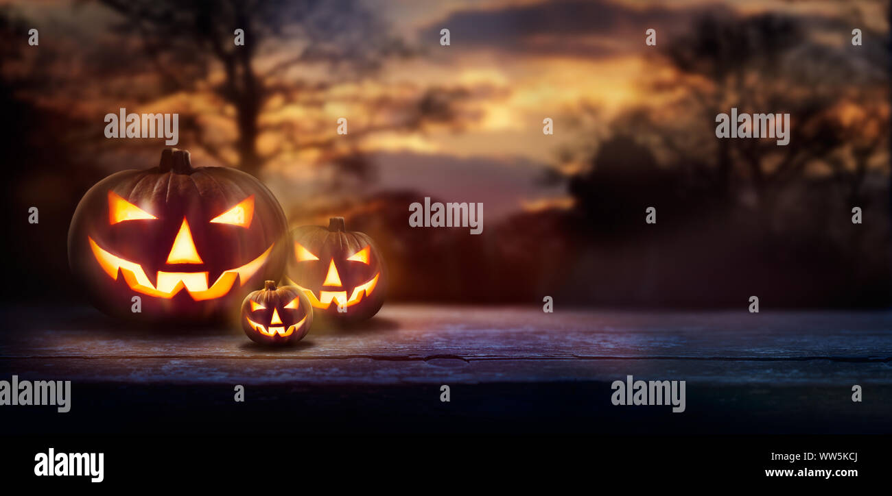 A woodland sunset with the spooky evil glowing eyes of Jack O' Lanterns ...