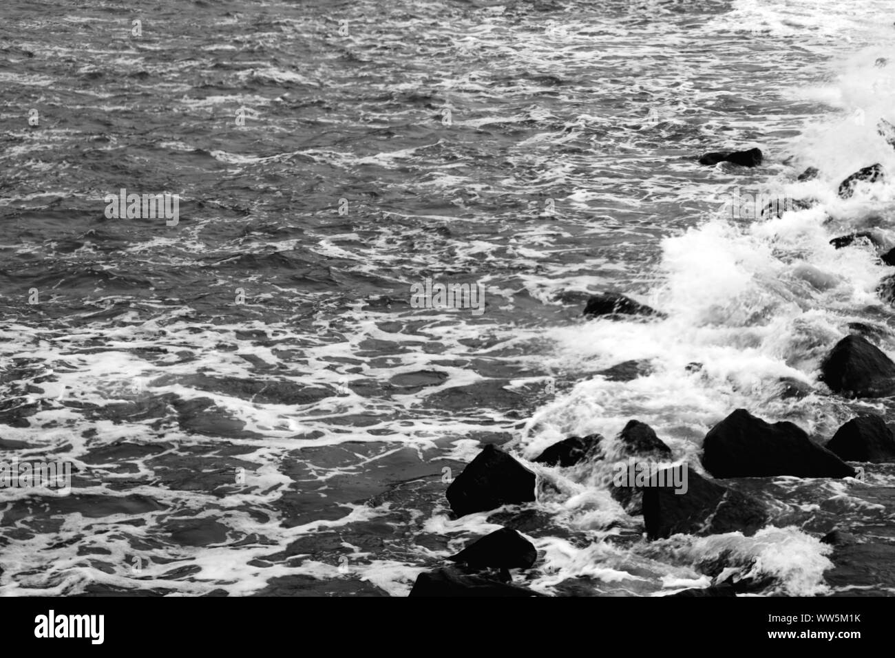 Frolic Sea Black And White Stock Photos & Images - Alamy