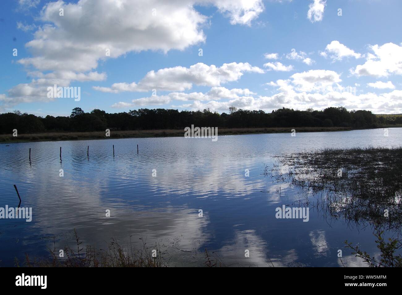 Lake with reflections, Etang de Moulin Neuf 041010 Stock Photo - Alamy