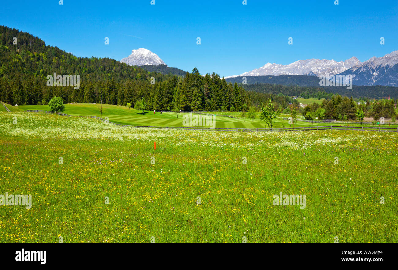 Alpine golf course hi-res stock photography and images - Alamy