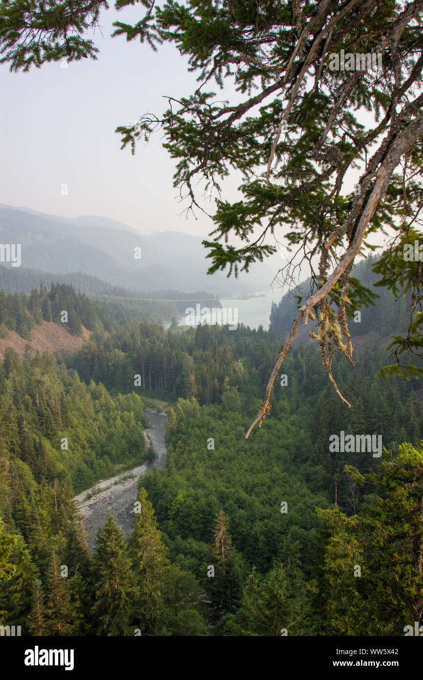 View from above on forest, river, mountains, lake, Joffre Lakes Provincial Park, British Columbia, Canada, branch in the foreground, Stock Photo