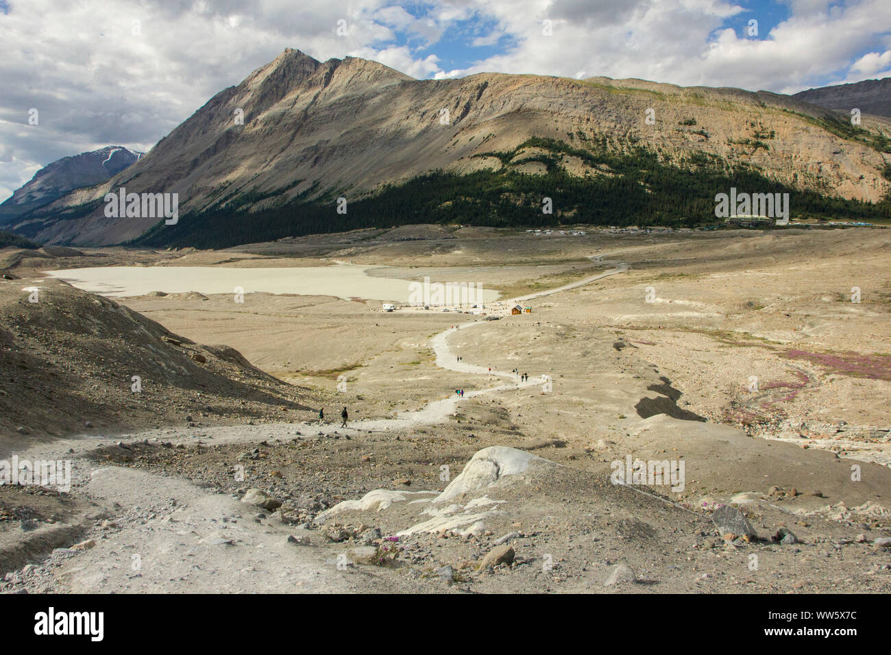 Moonscape in the Columbia Icefield, Rocky Mountains, Canada Stock Photo