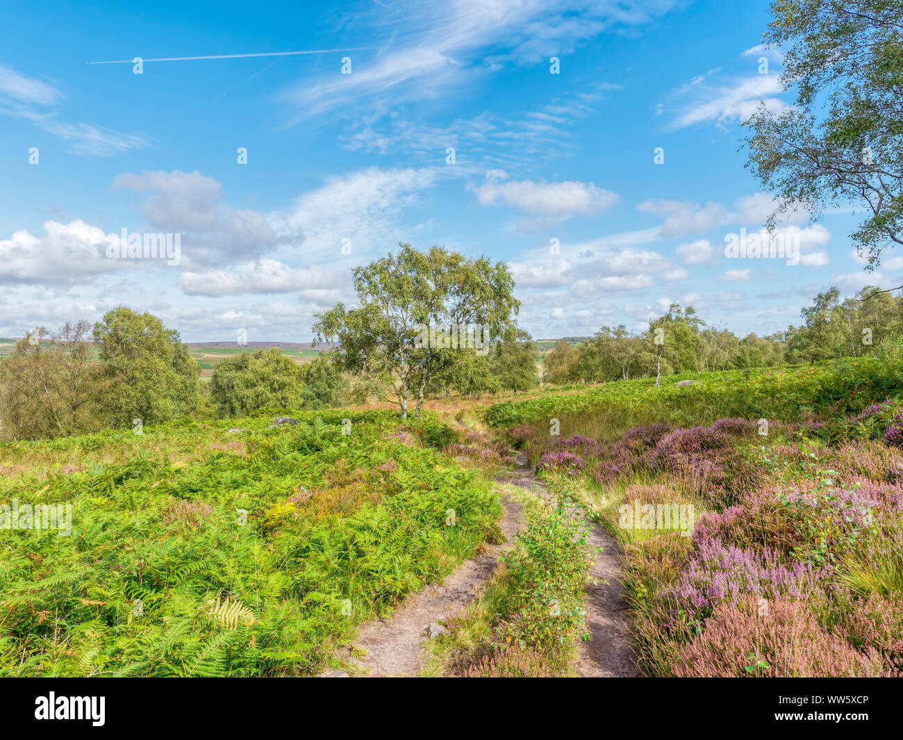 A hillside path winds through dewbse ferns and heather, past Silver ...