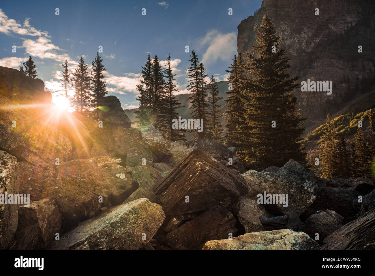 Boulders with firs in the background and sunrays, Rocky Mountains, Canada Stock Photo