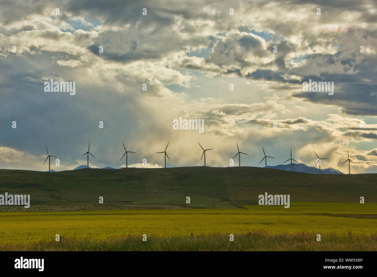 wind-turbines-in-canada-stock-photo-alamy