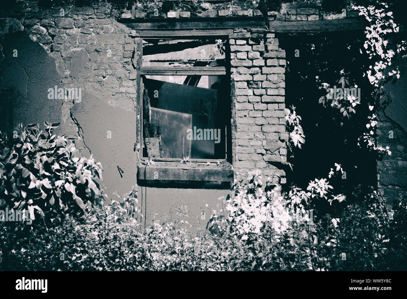 A wall of a house overgrown with plants in danger of collapse. Stock Photo