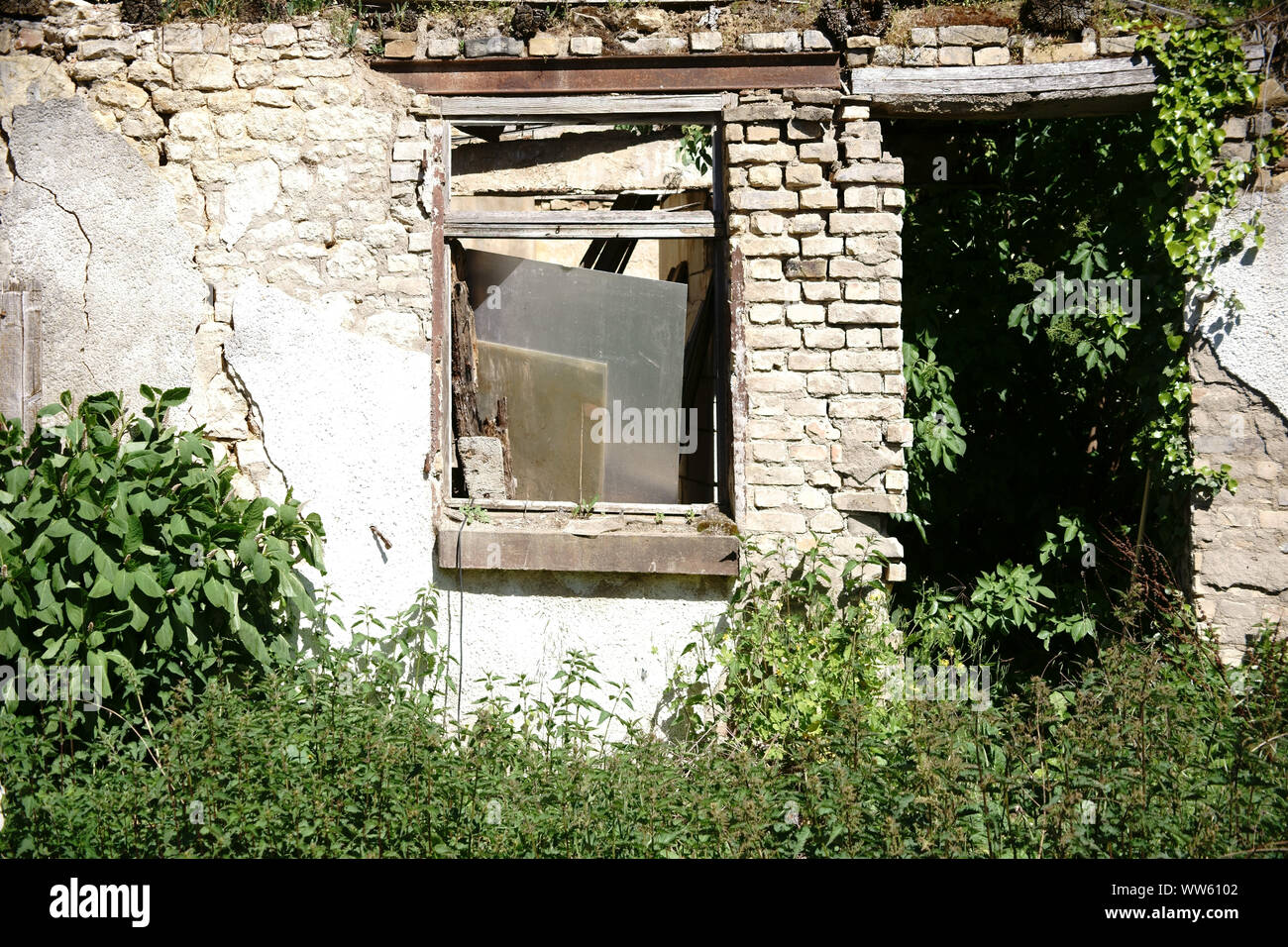 A wall of a house in danger of collapsing overgrown with plants, Stock Photo