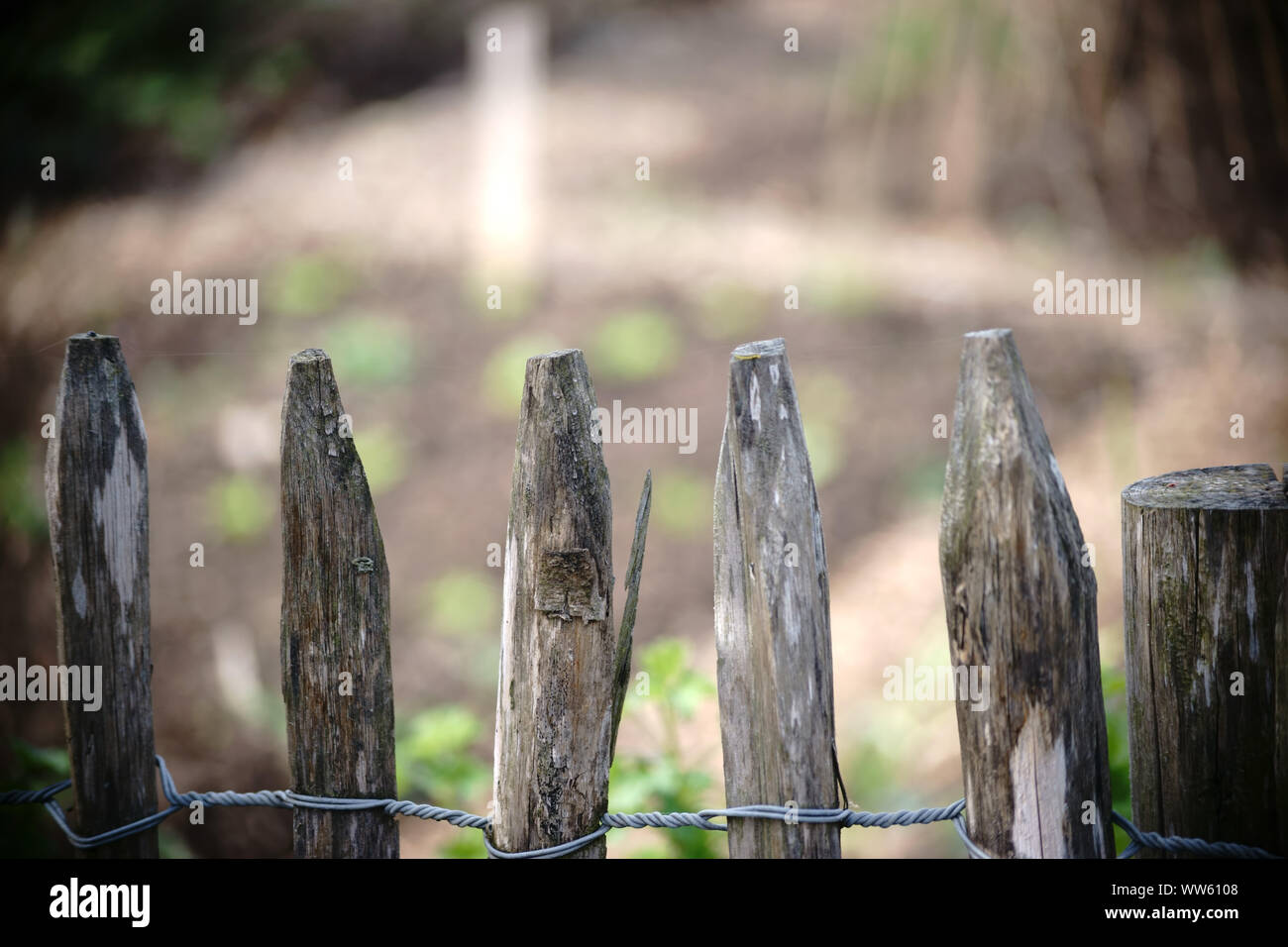 The sharpened ends of stakes of a garden fence tied together with wire