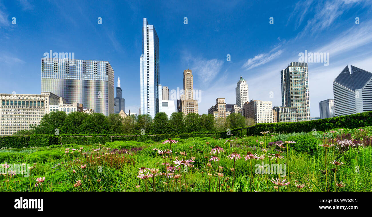 City skyline view from Lurie Garden, Chicago, Illinois, United States Stock Photo
