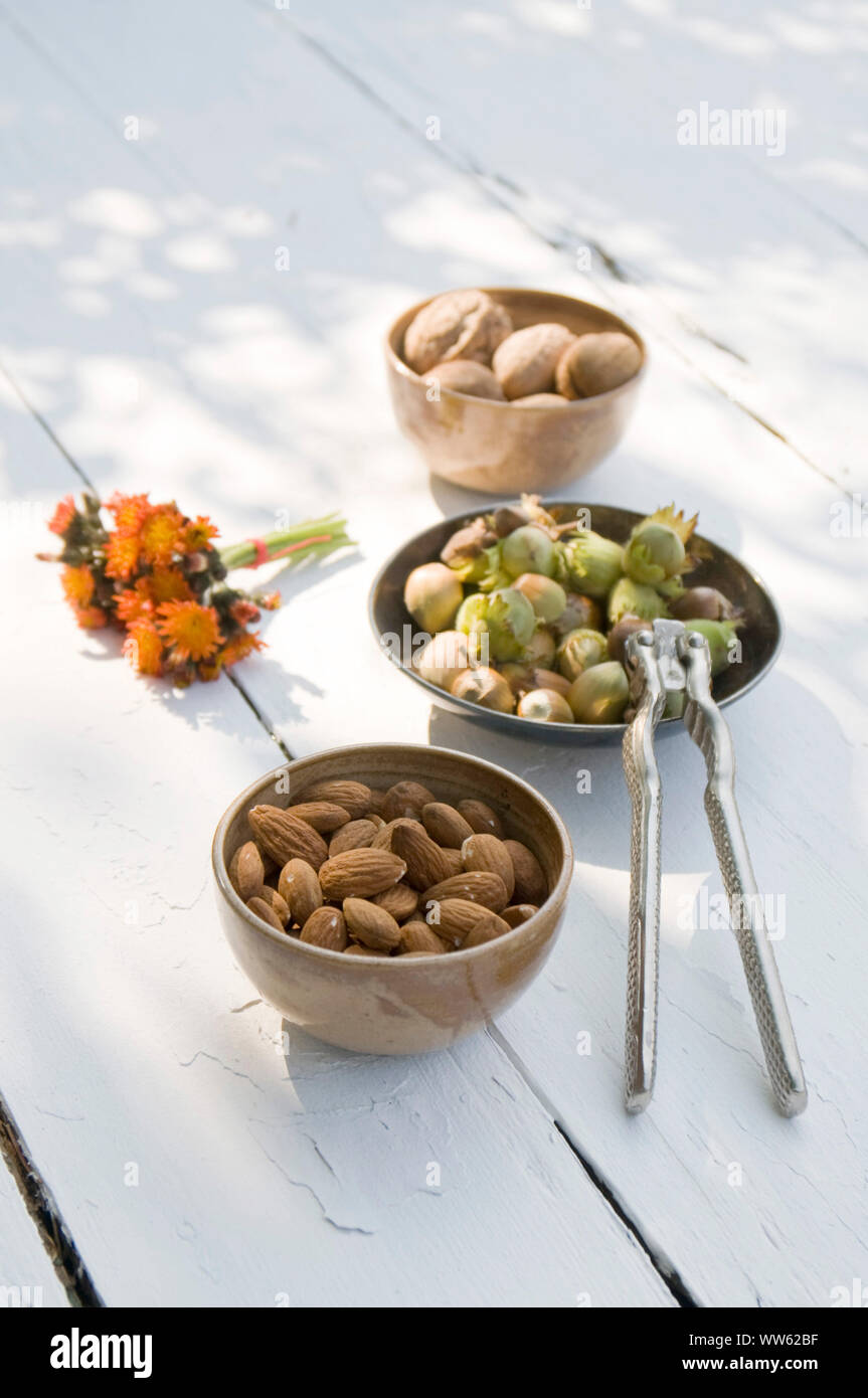 Nut harvest Stock Photo