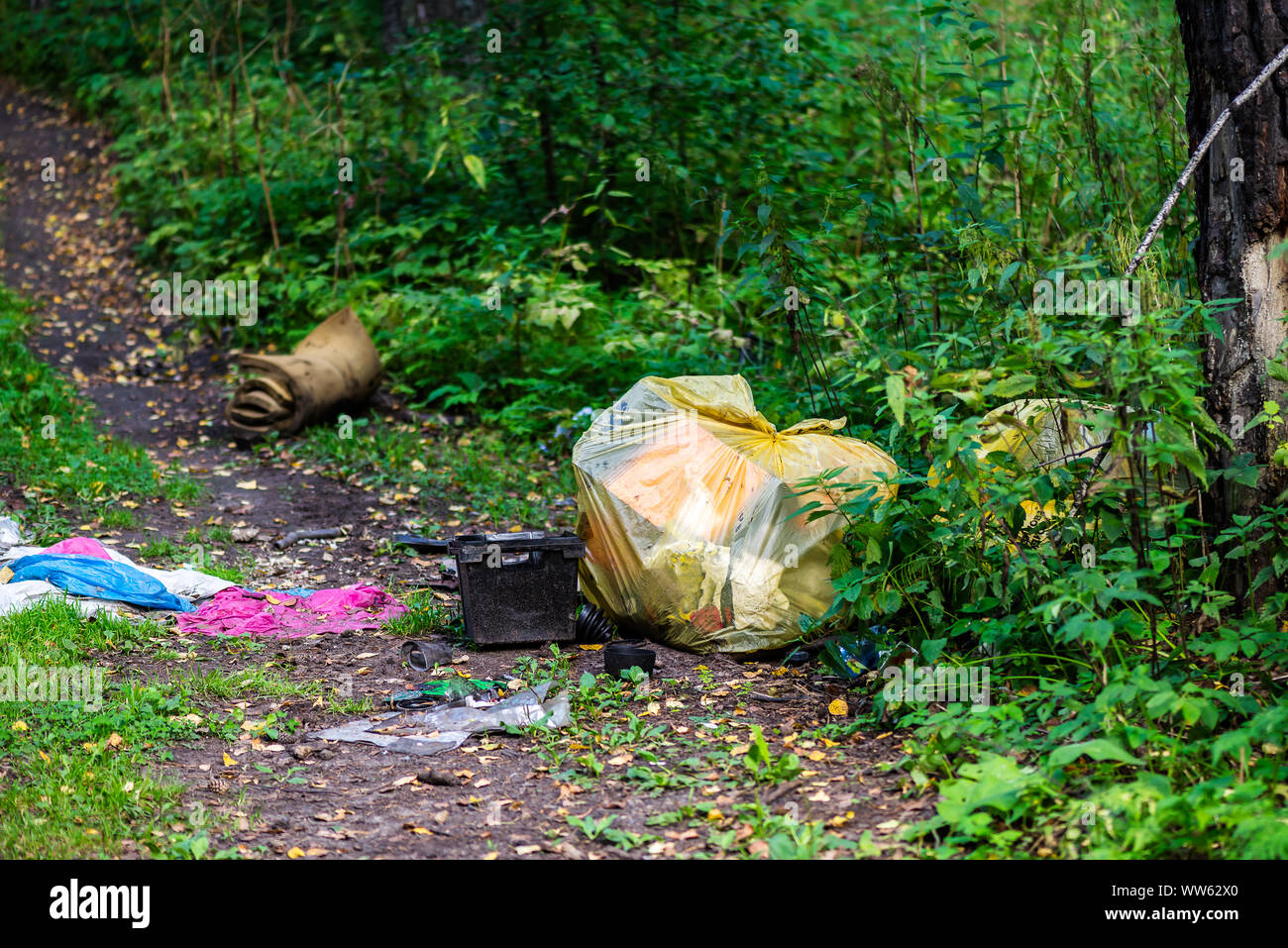 Big rubbish dump in the forest Stock Photo Alamy