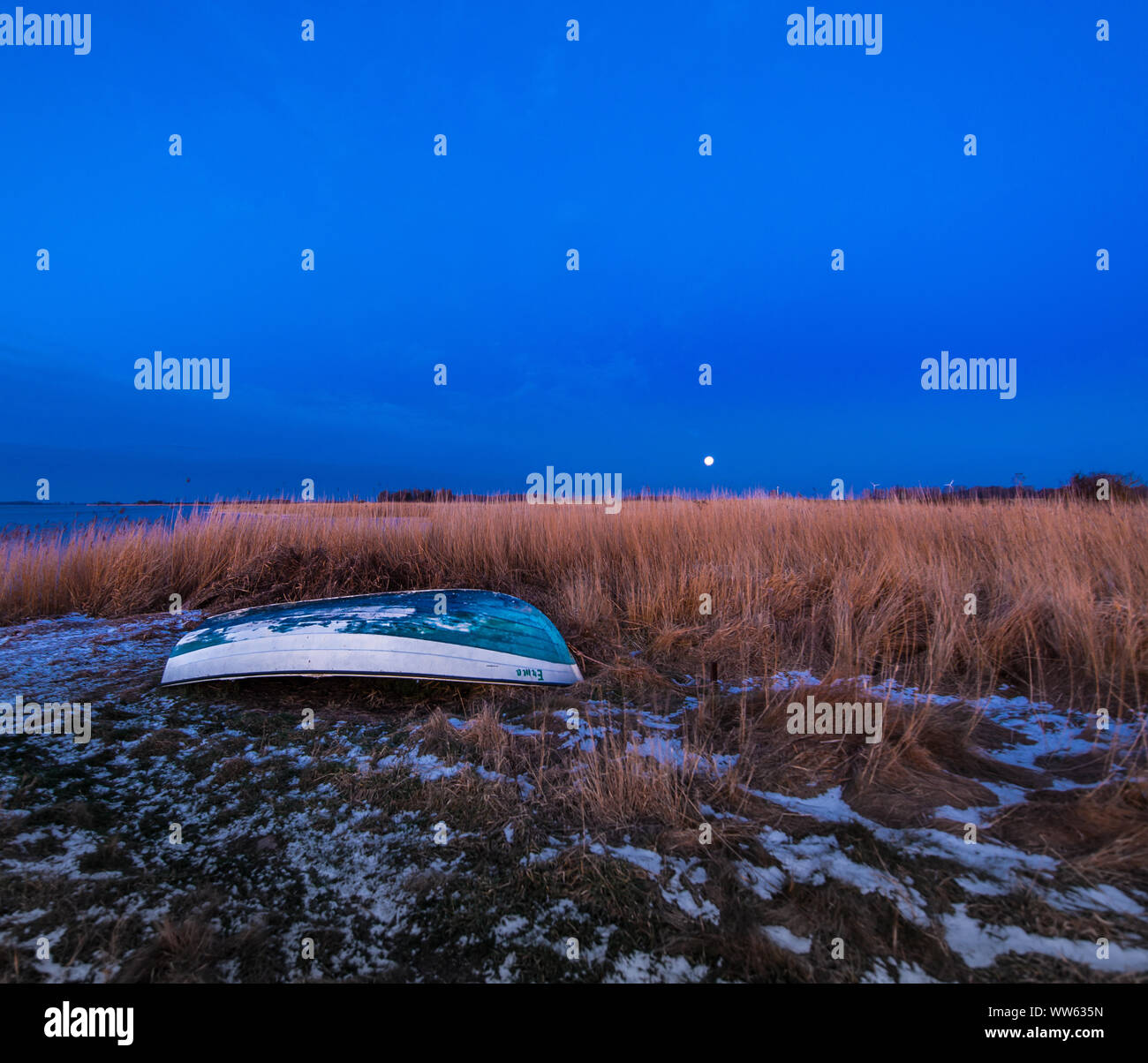 Reed on the shore in frost and full moon, RÃ¼gen, Mecklenburg-West Pomerania, Germany Stock Photo