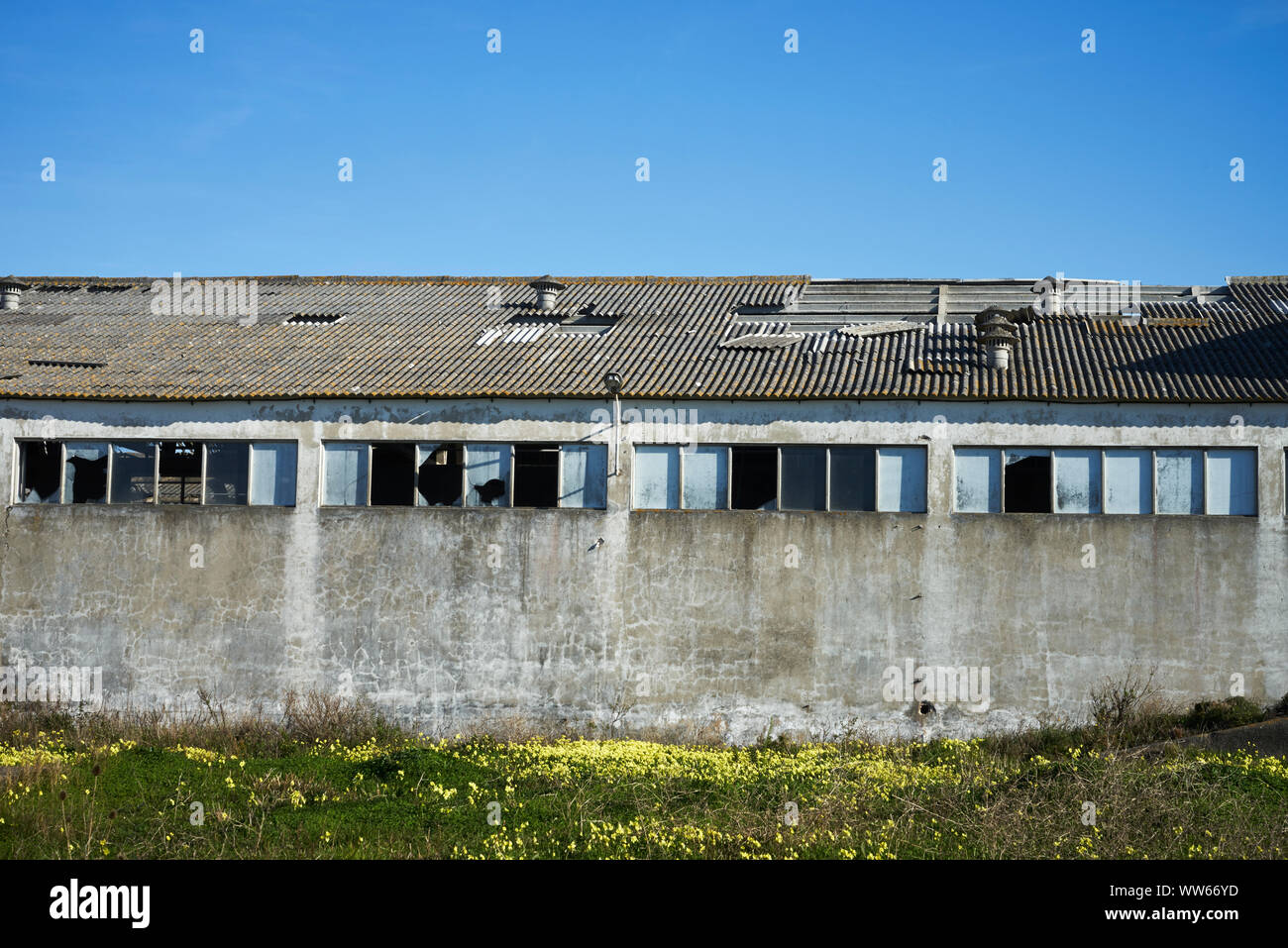 Old warehouse with grey wall in front of blue sky and flowers on the floor Stock Photo