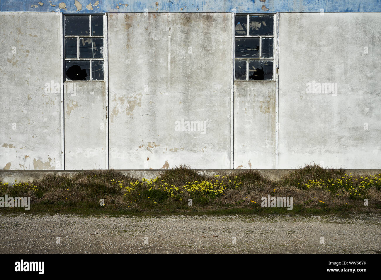 Old warehouse with two window fronts and yellow flowers Stock Photo