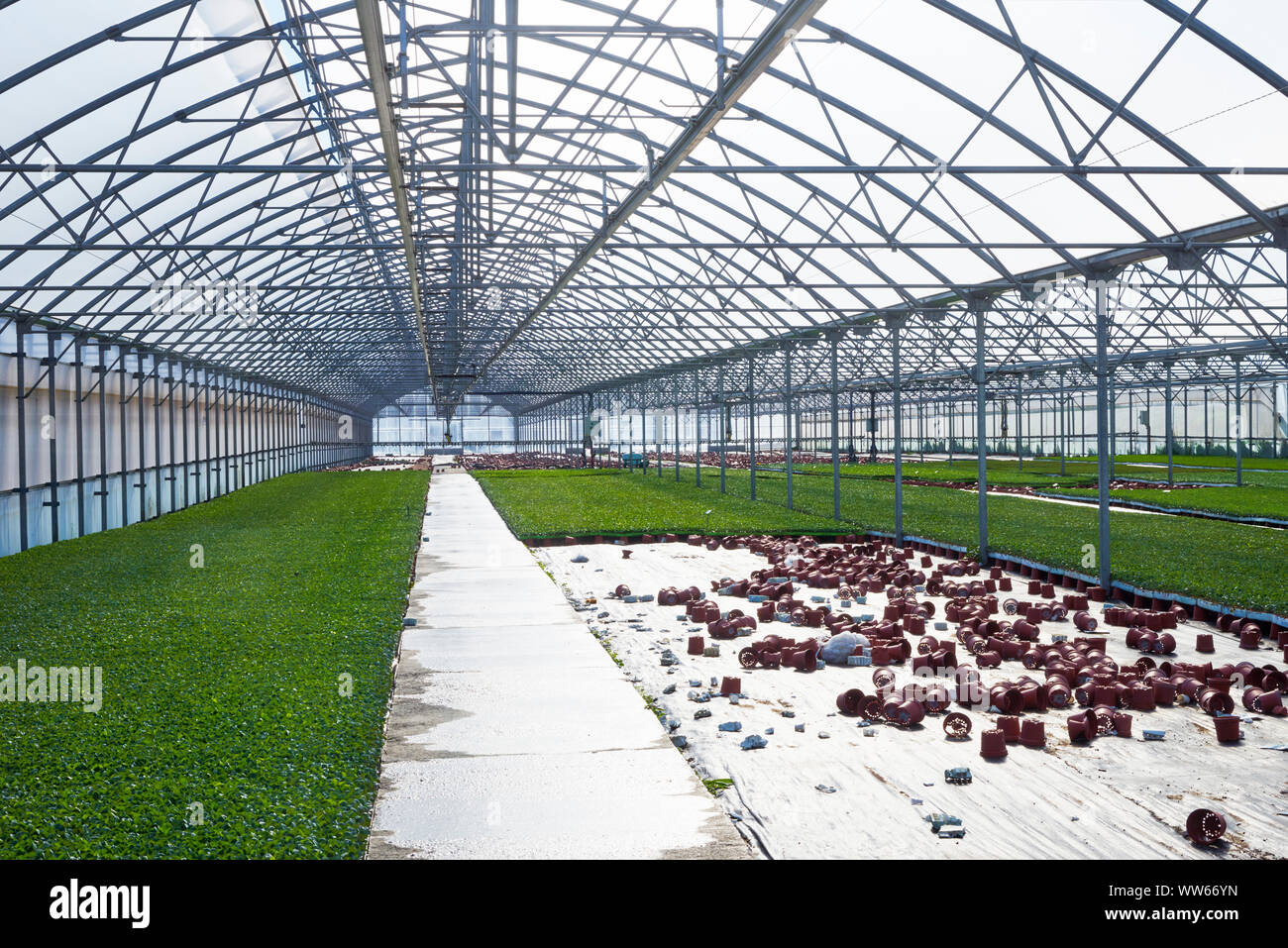 old greenhouse with turf and flowerpots, interior shot Stock Photo