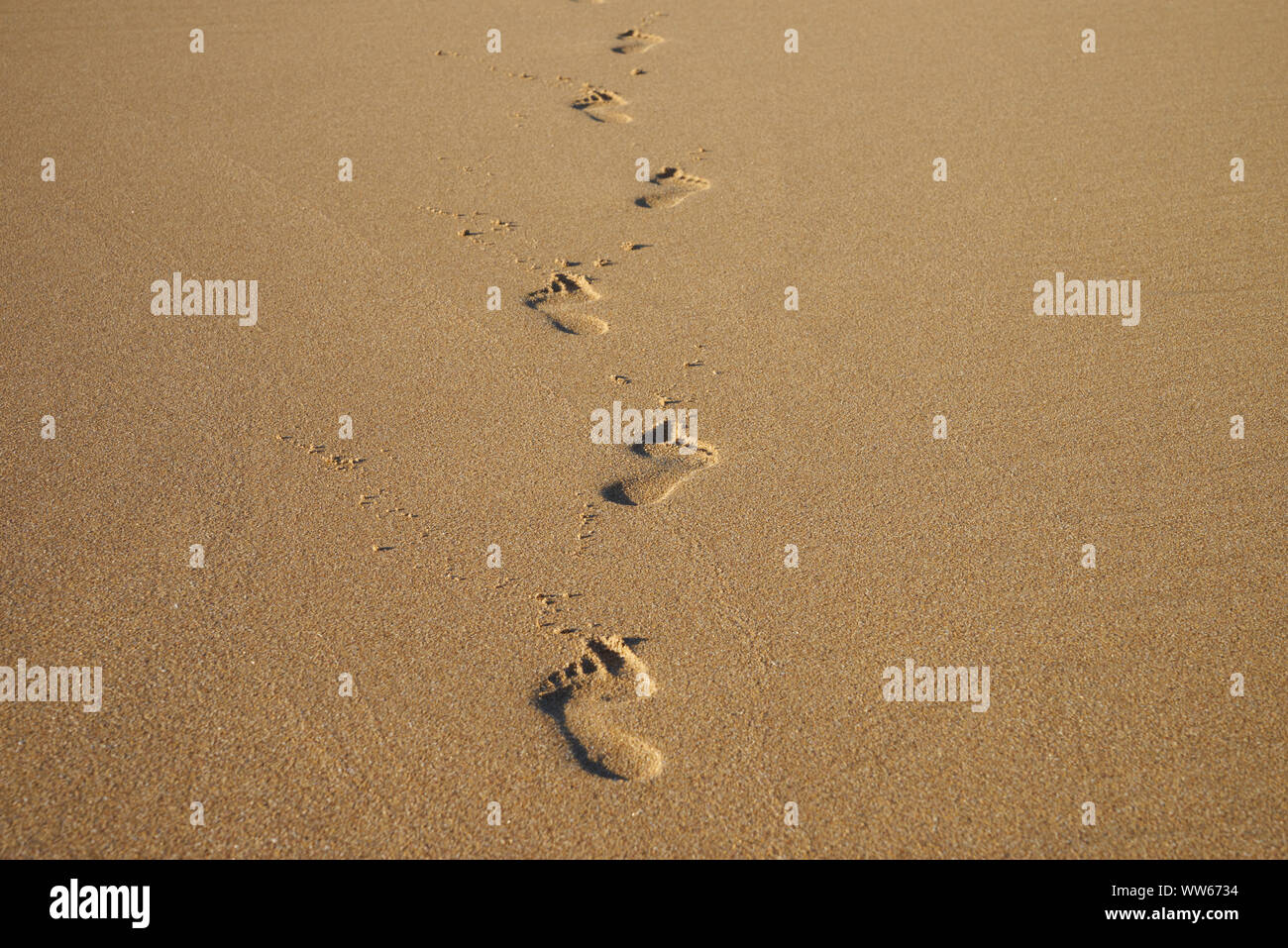 Footprints on the beach Stock Photo