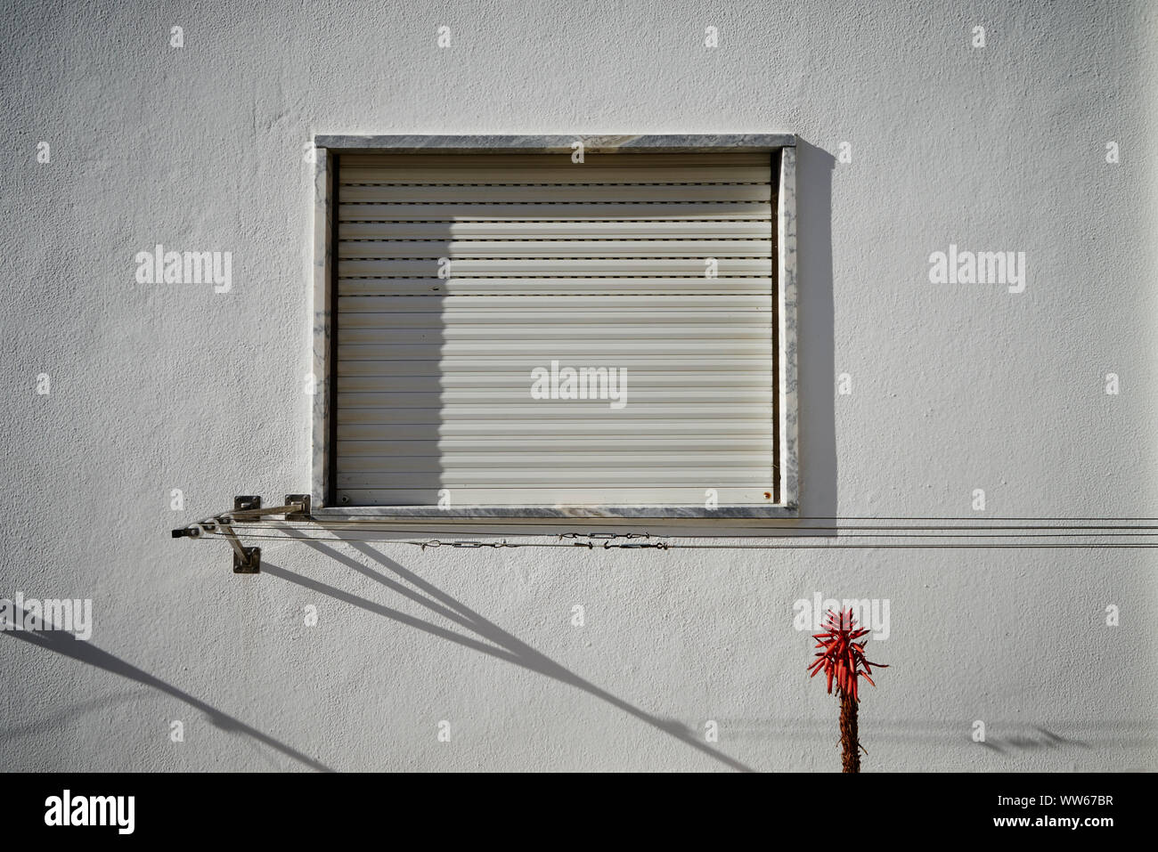 Red blossom of an agave in front of white house facade with closed window Stock Photo