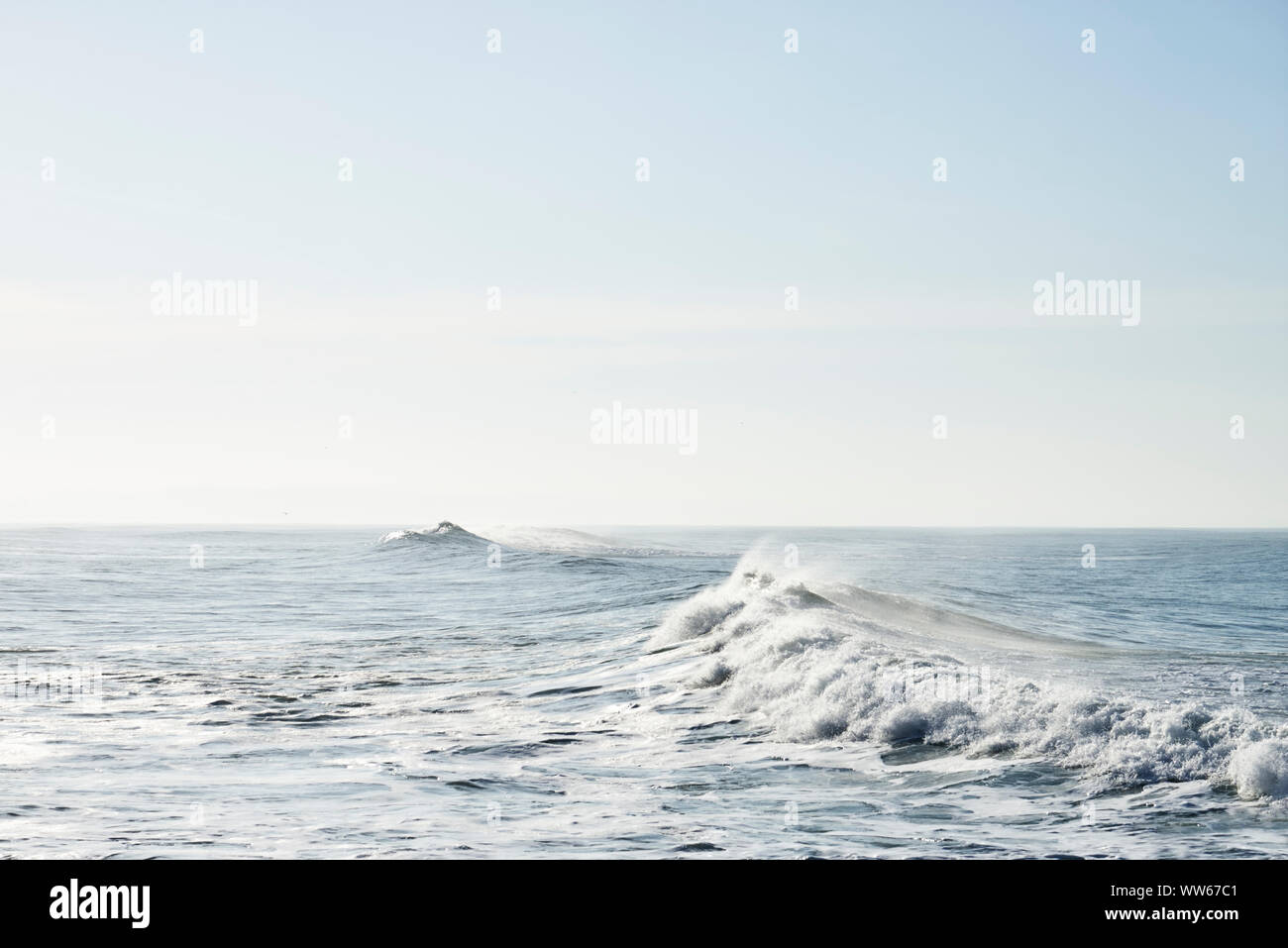 Wave in the sea, backlight, haze, foam Stock Photo