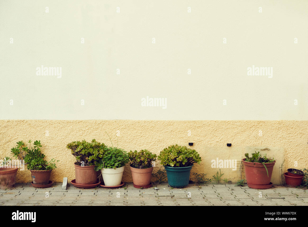 Plants in pots in front of a house, cobblestone street Stock Photo