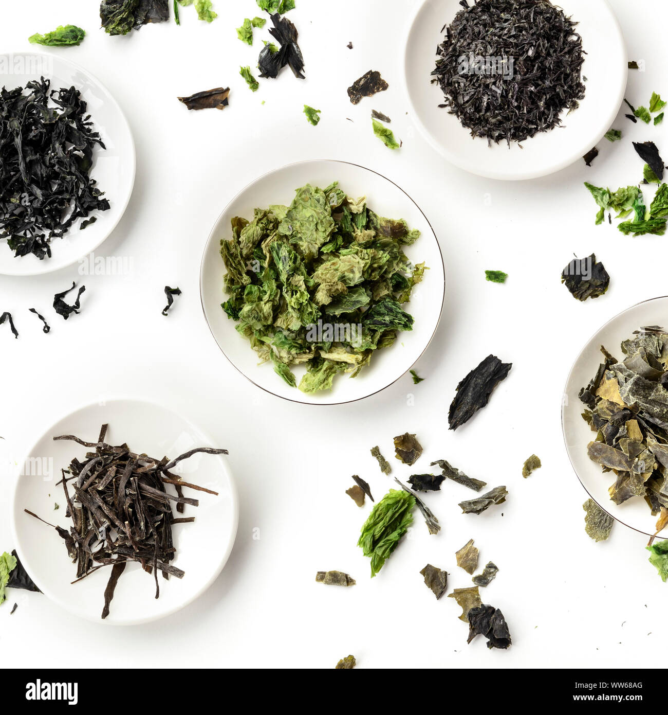 Various dry seaweed, sea vegetables, overhead square shot on a white background Stock Photo