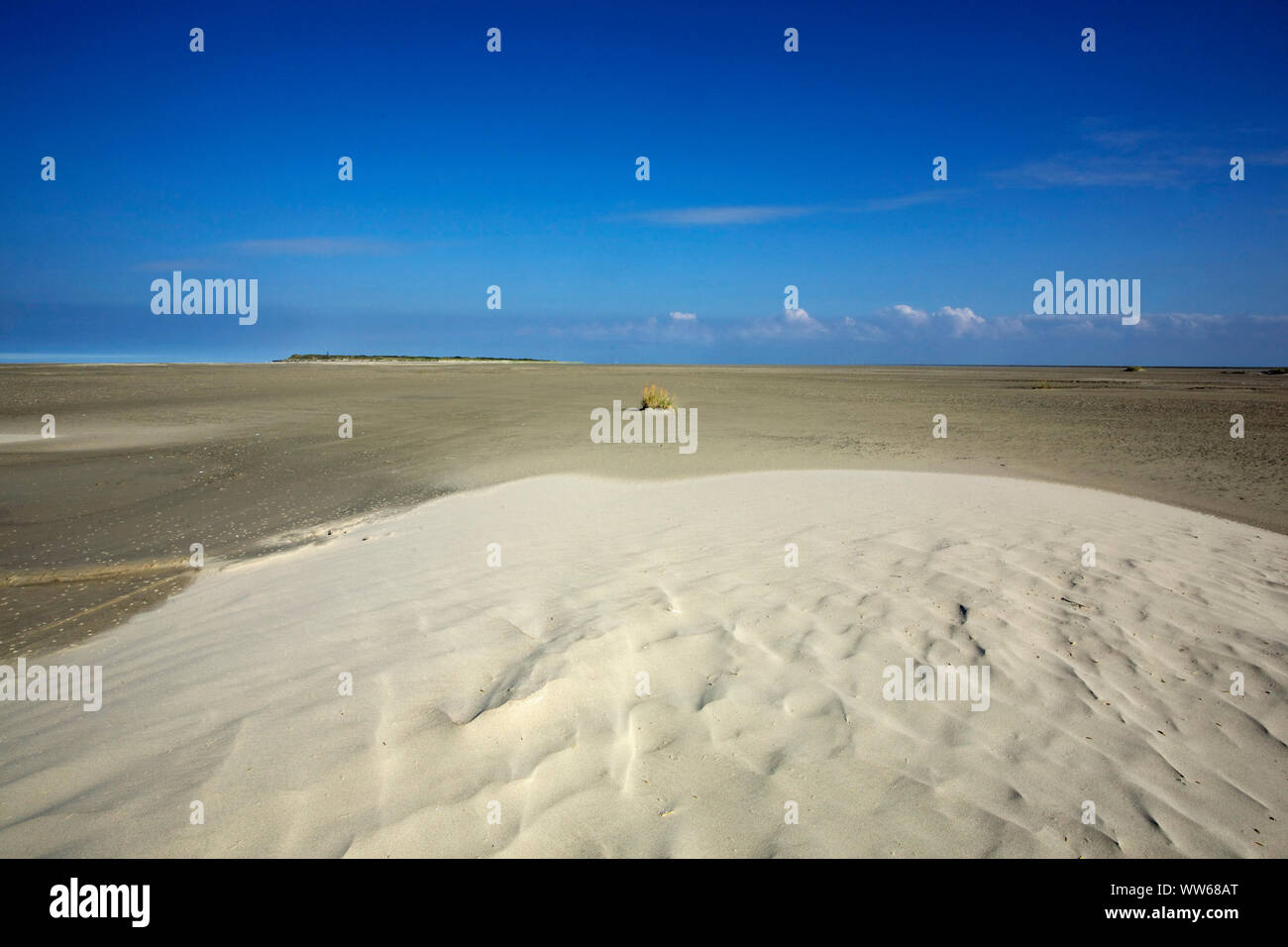 The wide sand plain of the Bill-Riff in front of the North Sea island Juist. Stock Photo