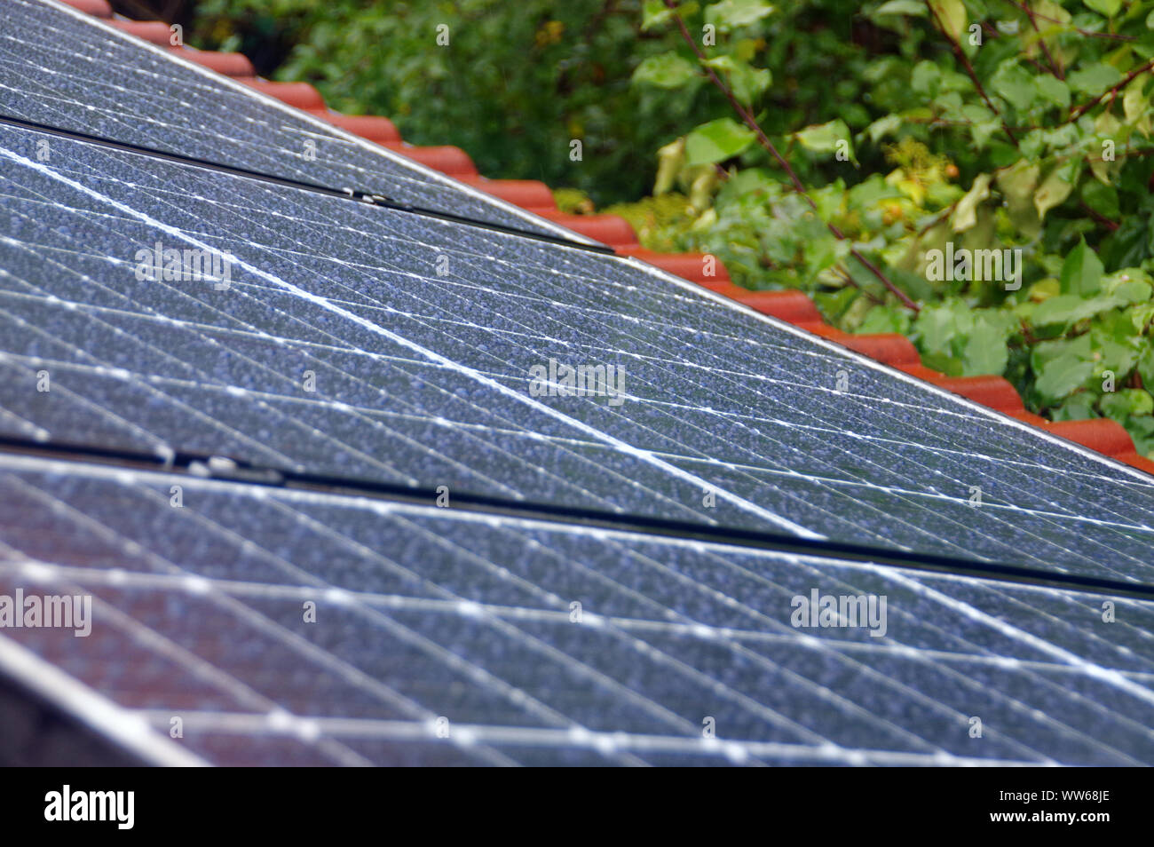 Photovoltaic solar energy panels in the rain. Water raindrops on cell glass. Stock Photo