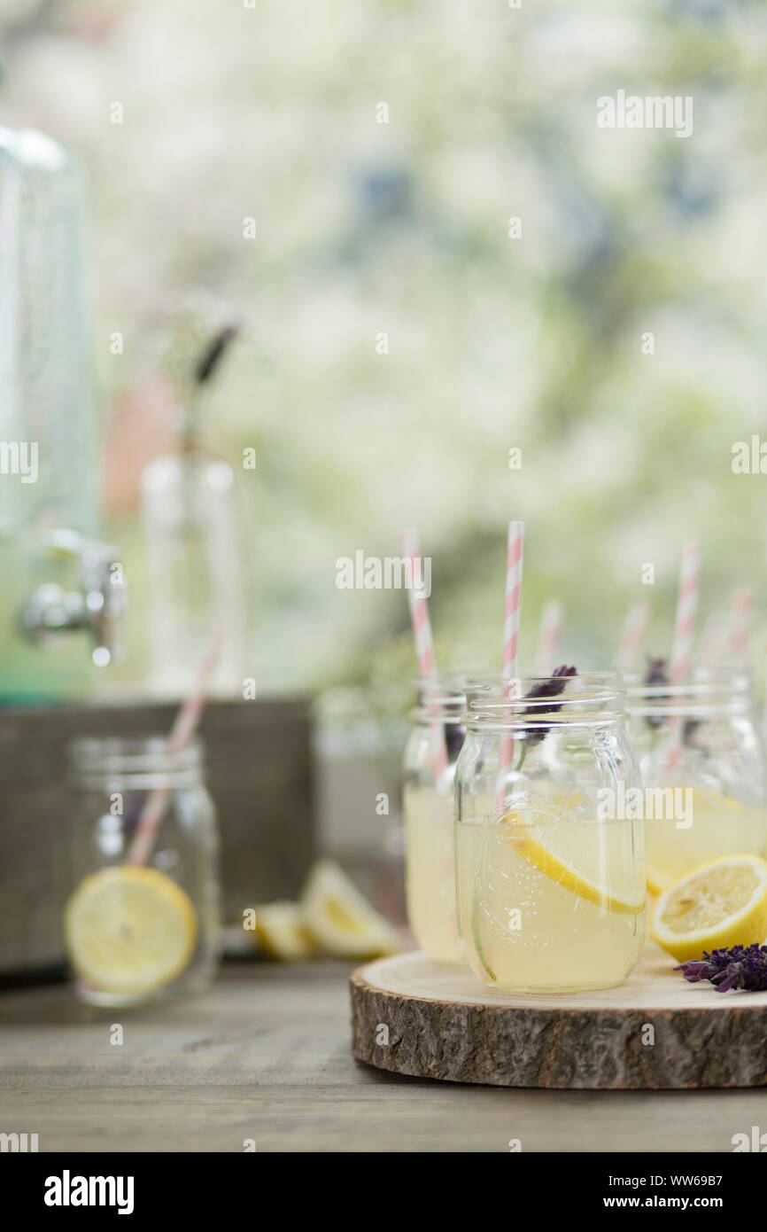 Mason Jars, soda fountain, lemonade, lavender, lemons Stock Photo