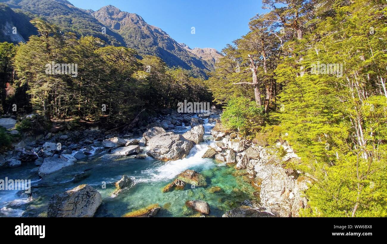 Crystal Clear River In The Forest On The Routeburn Track In New Zealand Stock Photo Alamy Crystal Clear River In The Forest On The Routeburn Track In New Zealand Stock Photo Alamy