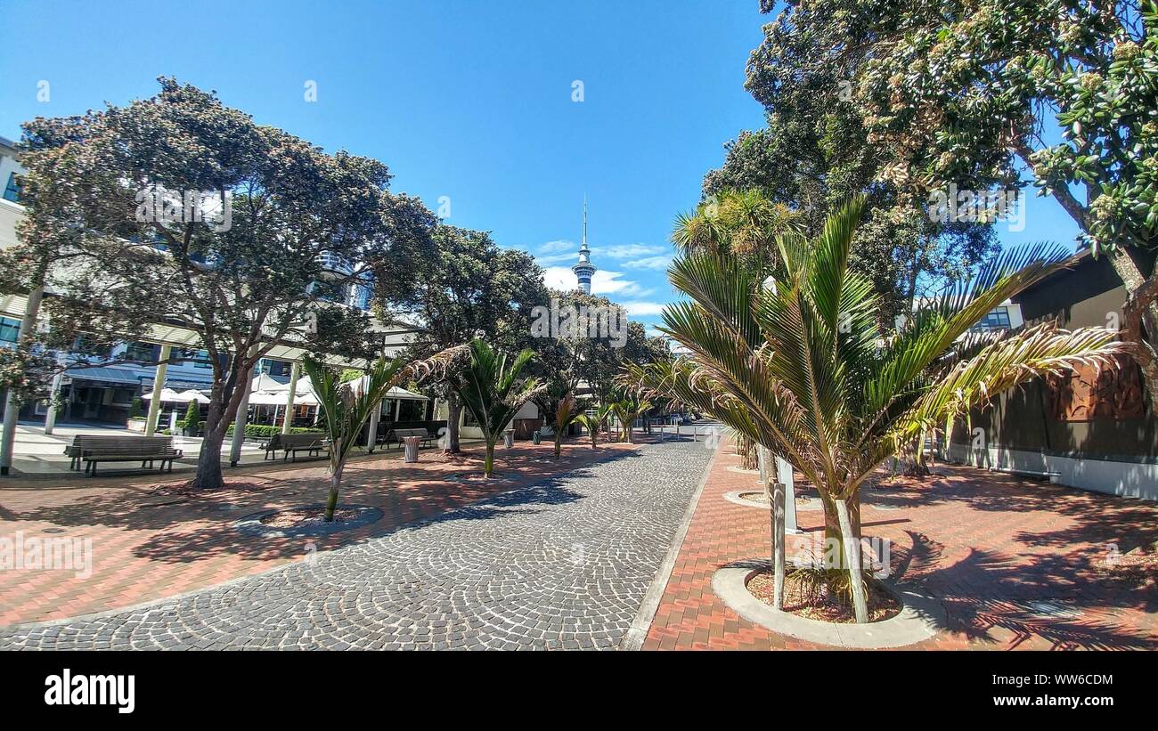 View on Sky Tower, Auckland in New Zealand Stock Photo - Alamy