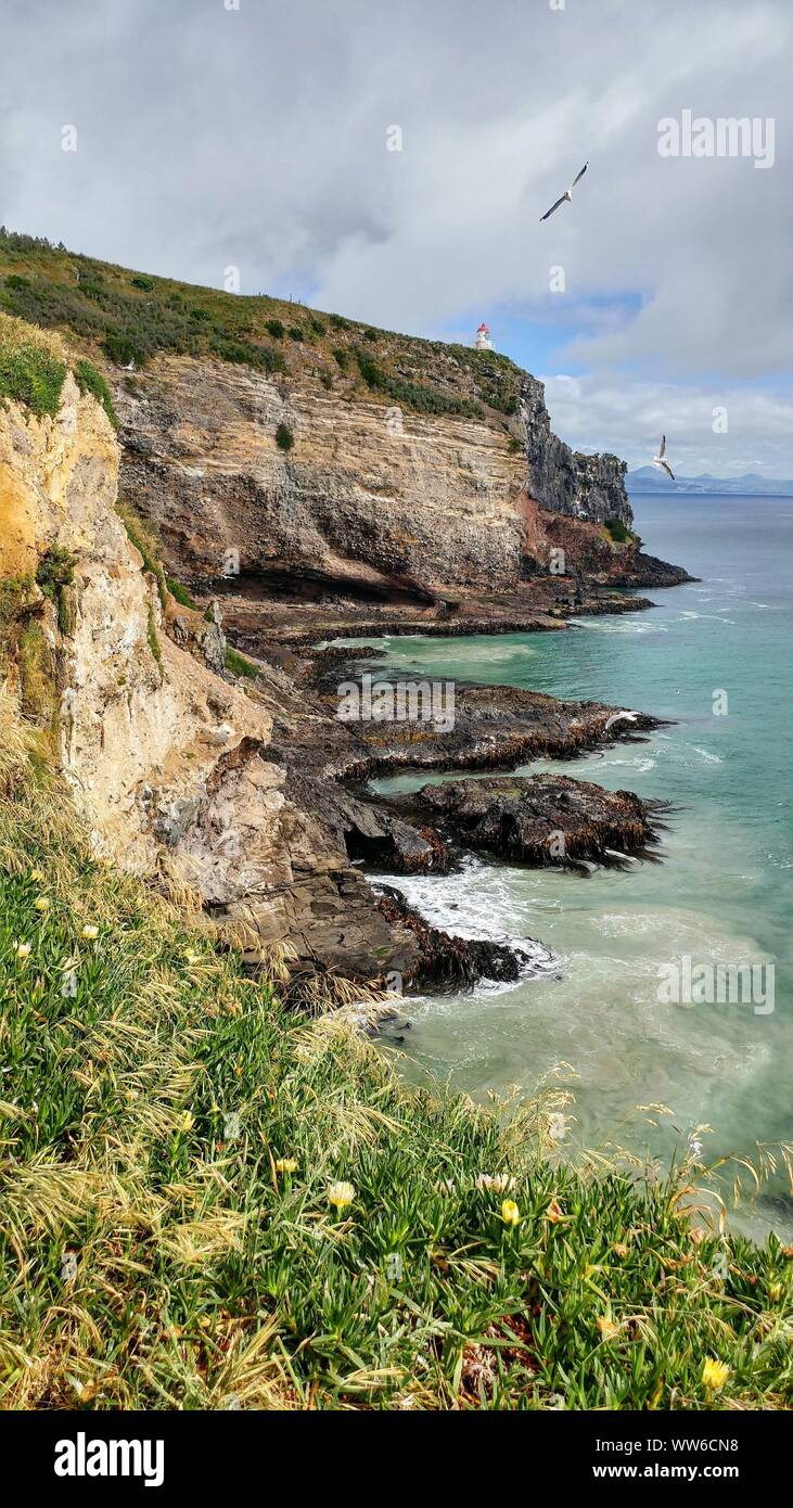 Bay on the coast of Dunedin, New Zealand Stock Photo