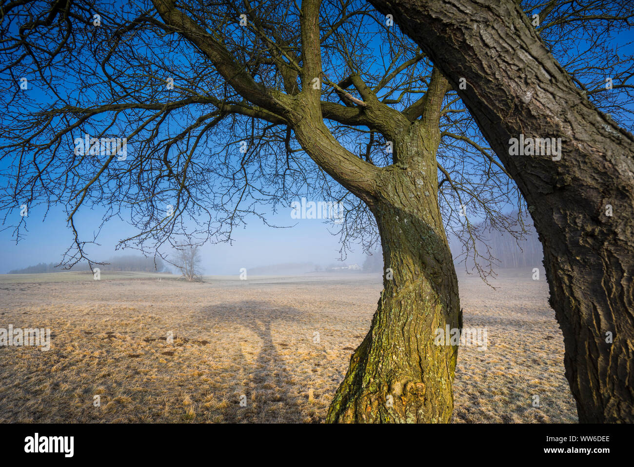 Morning mood, rising sun with escaping fog Stock Photo