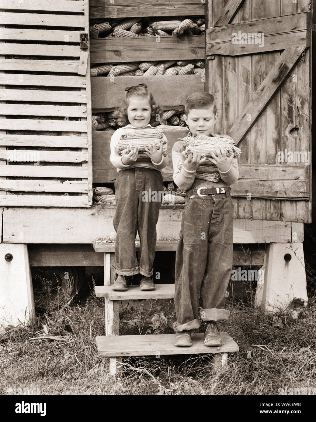 1940s TWO CUTE FARM CHILDREN SMILING SISTER DOUR BROTHER IN BLUE JEANS HOLDING EARS OF CORN ON STEPS TO CRIB LOOKING AT CAMERA - c1403 HAR001 HARS CORN JUVENILE CUTE EARS STYLE TEAMWORK COTTON JOY LIFESTYLE CELEBRATION FEMALES BROTHERS RURAL HOME LIFE UNITED STATES COPY SPACE FRIENDSHIP FULL-LENGTH UNITED STATES OF AMERICA FARMING MALES SIBLINGS CONFIDENCE DENIM SISTERS CRIB AGRICULTURE B&W SADNESS NORTH AMERICA EYE CONTACT NORTH AMERICAN HAPPINESS RUSTIC STRENGTH EXTERIOR FARMERS PRIDE IN OF ON TO SIBLING CONCEPTUAL BLUE JEANS CHARMING GROWTH INFORMAL JUVENILES TOGETHERNESS TWILL YOUNGSTER Stock Photo