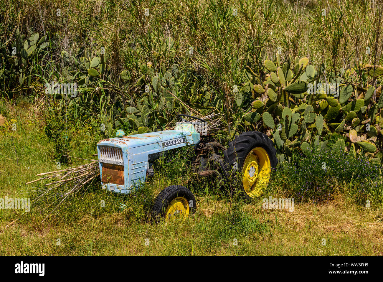 Italy, Sicily, Aeolian Islands, Stromboli, Stromboli village, Scari district, old tractor Stock Photo