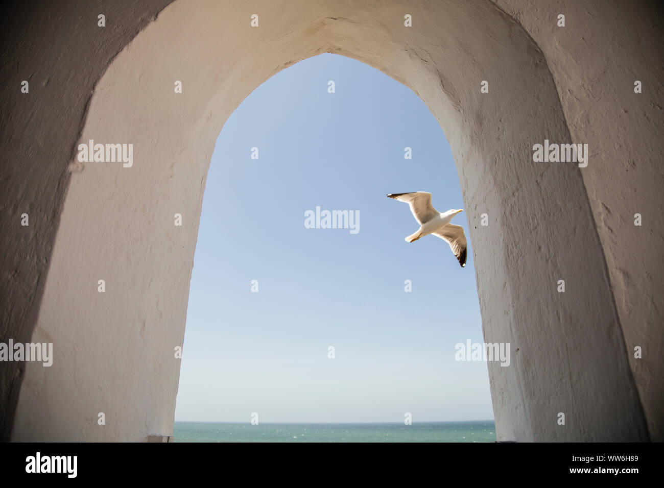 Cafe, view, bow, sea, sky, seagull in flight, Essaouira, Morocco Stock Photo