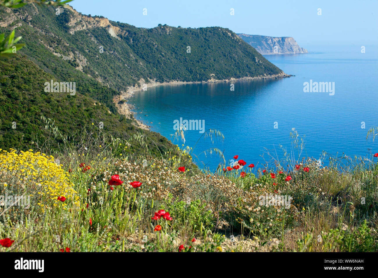 wooded cliff on the south coast of Messinia in Greece Stock Photo