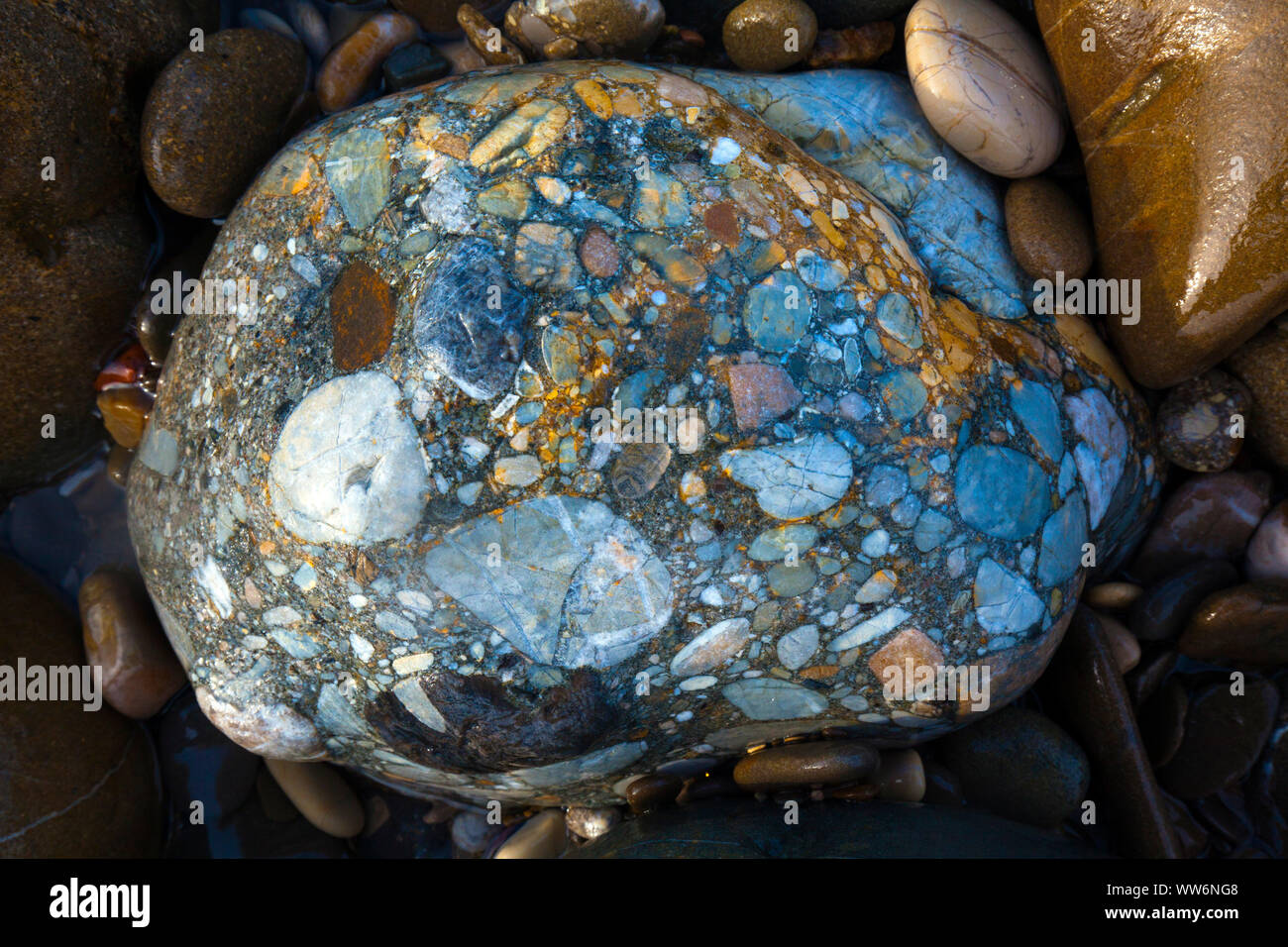 Tsapi hi-res stock photography and images - Alamy