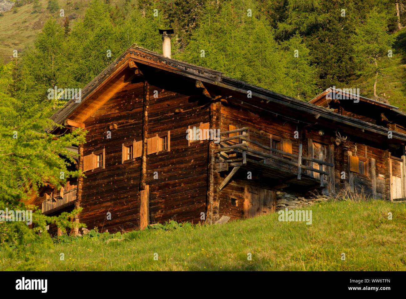 Morning mood at the Raineralm, LasÃ¶rlinggruppe, Hohe Tauern National Park, East Tyrol, Austria. Stock Photo