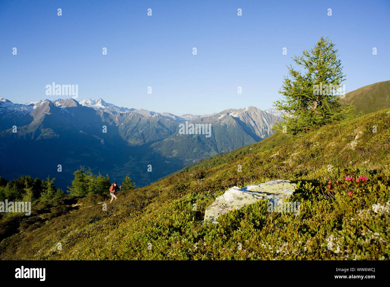 Hiker on Weberstein, Hohe Tauern, East Tyrol, Austria Stock Photo