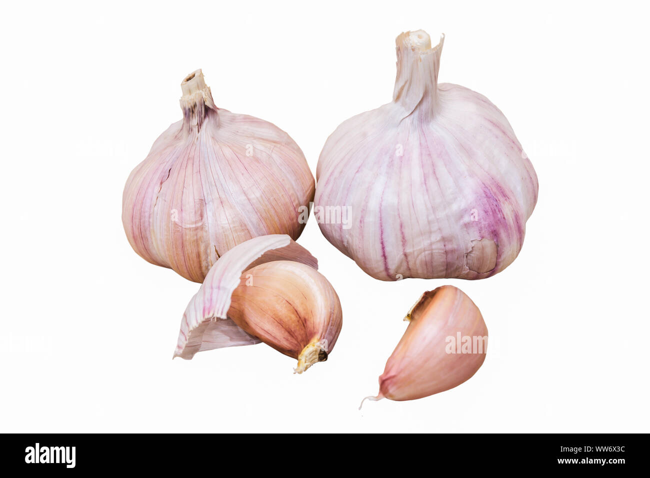 garlic and garlic cloves isolated on a white background Stock Photo - Alamy