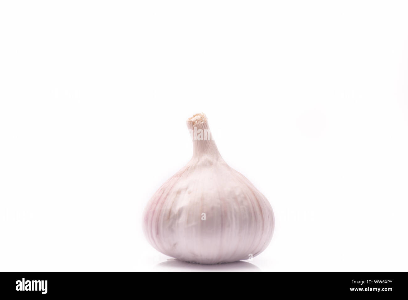 garlic and garlic cloves isolated on a white background Stock Photo - Alamy