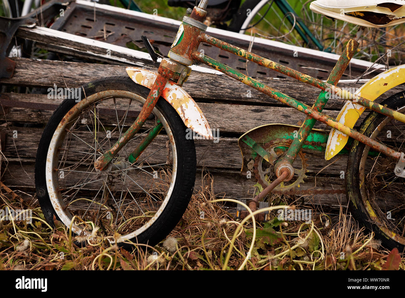 A rusted chain and pedal on an abandoned childrens bike left to rust in