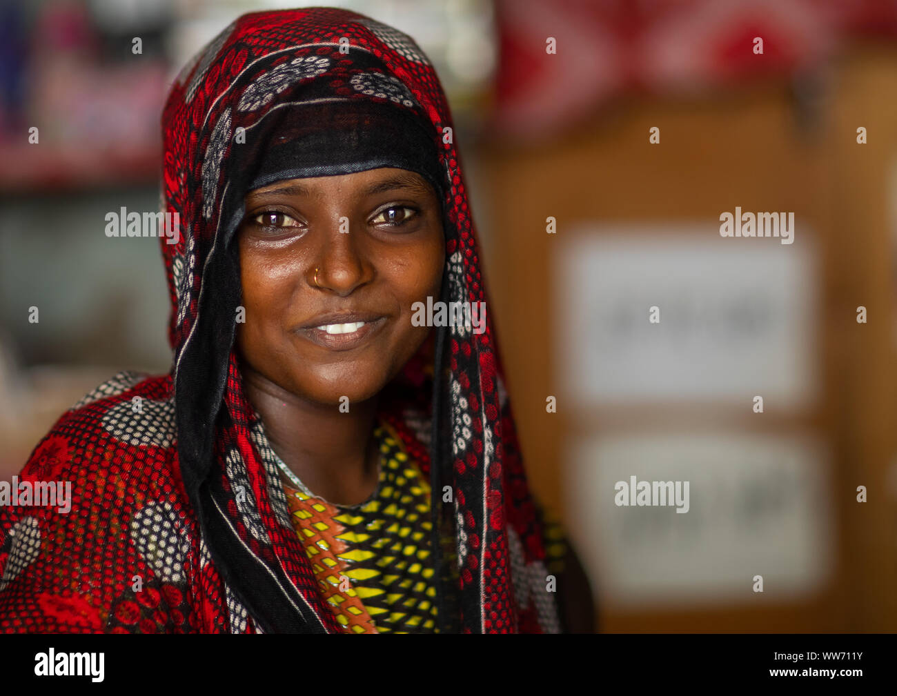 Portrait of a beautiful afar tribe young woman, Northern Red Sea
