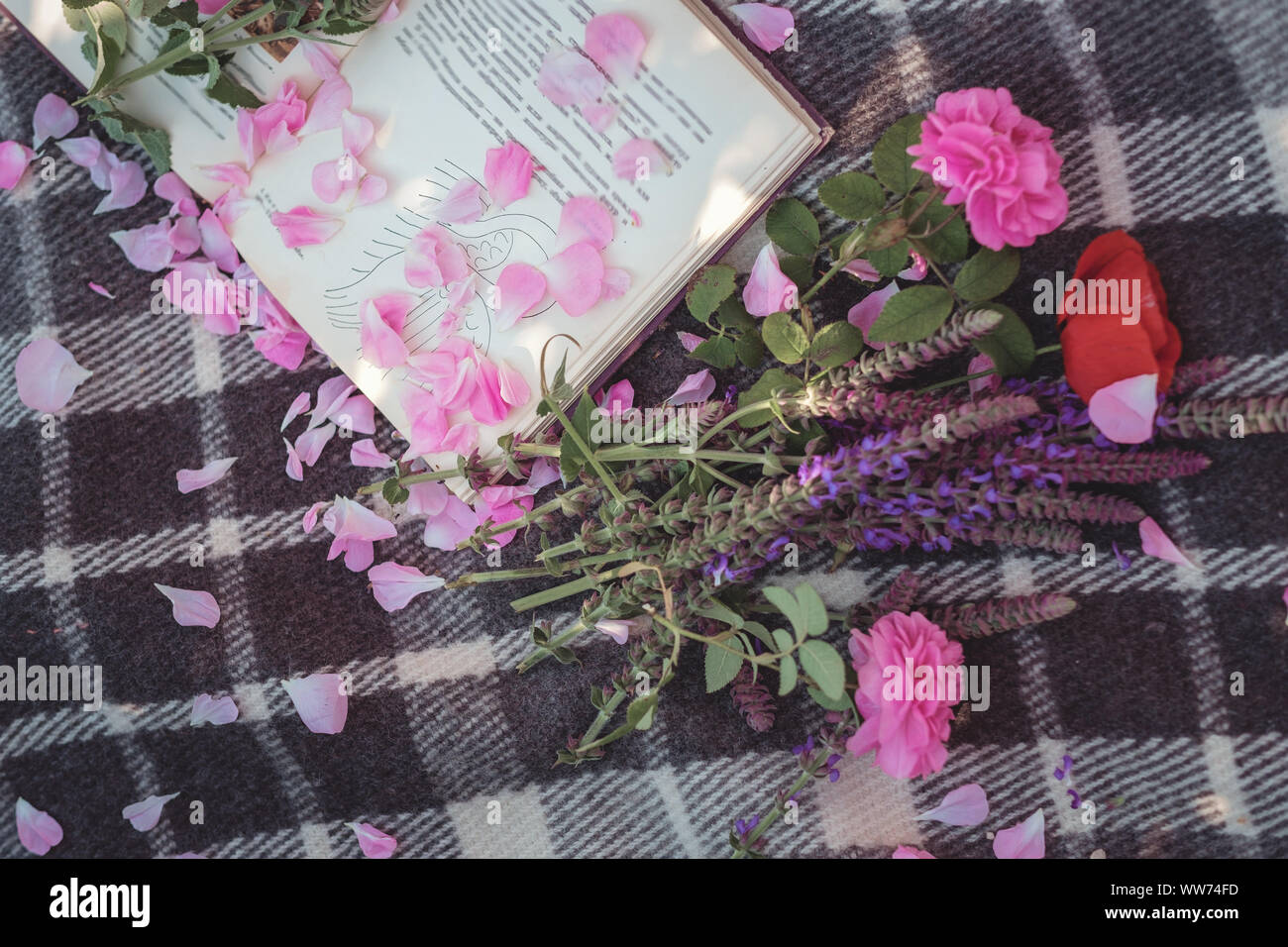 Flower series, free time of summer Provence, books reading at sunset ...