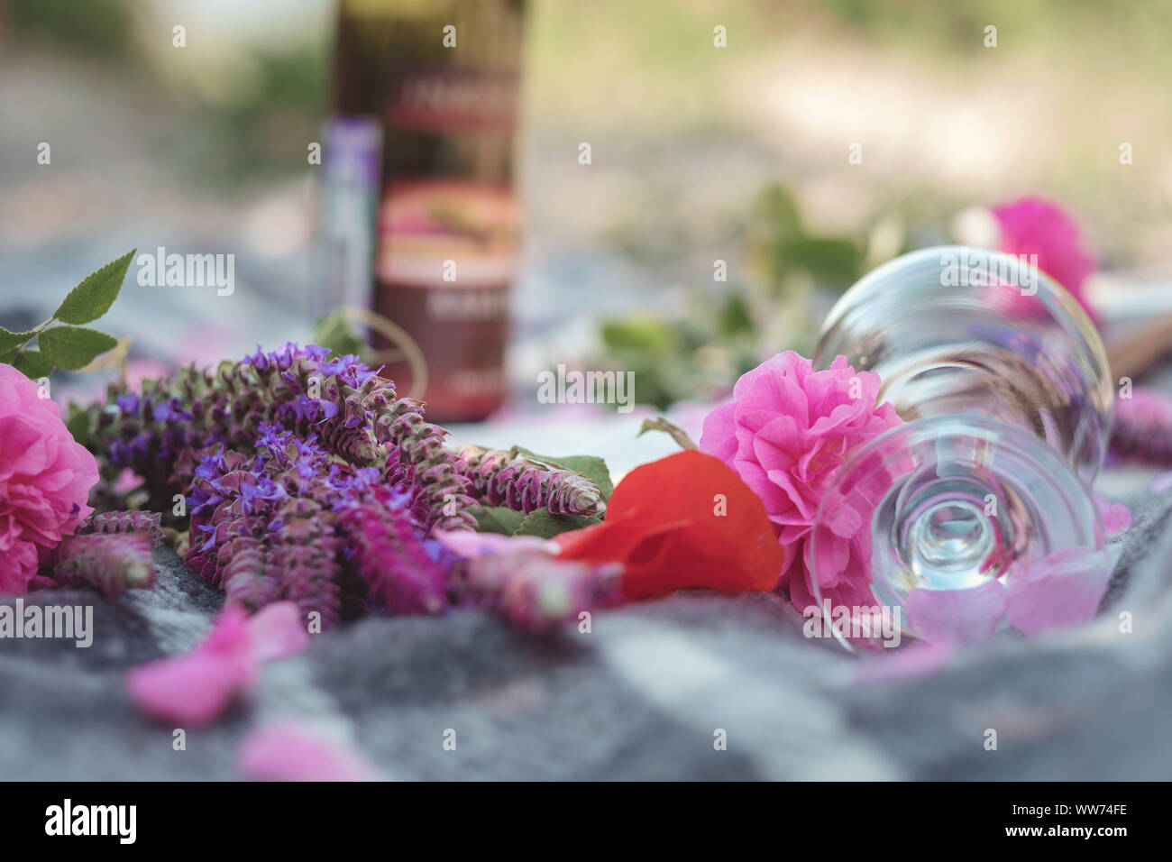 Flower series, free time of summer Provence, books reading at sunset ...